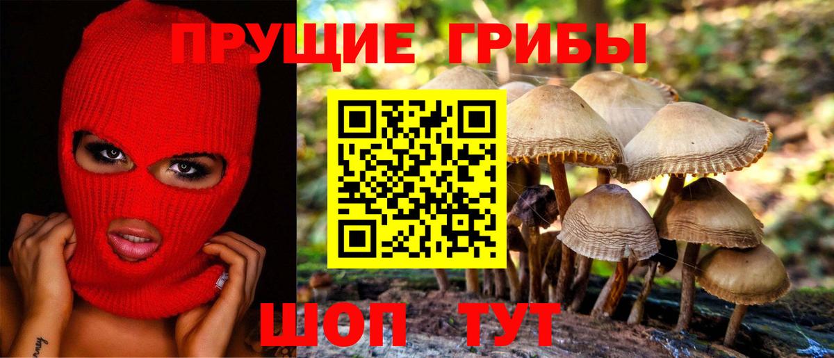 Псилоцибиновые грибы Cubensis  Вход с VPN  Мелеуз 